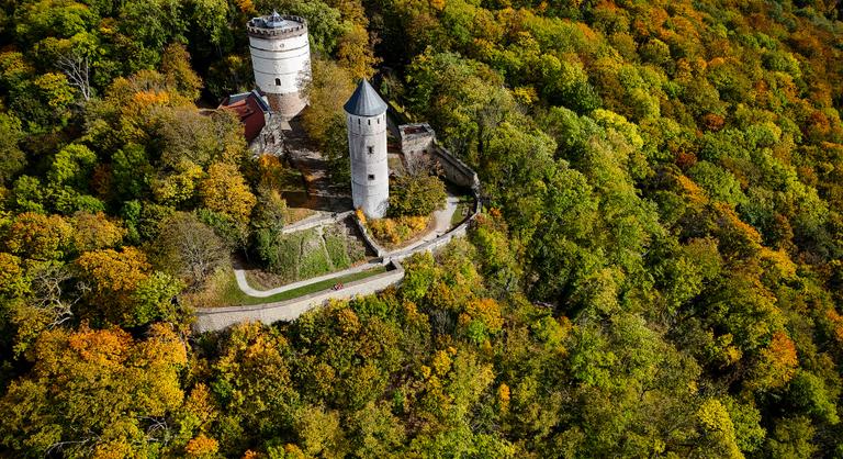 Turczi István: Szandi