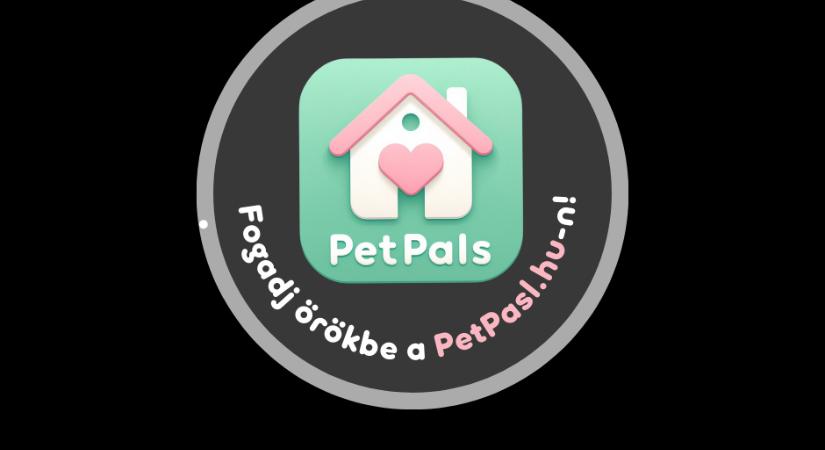 PetPals - Az állati TársKereső - Egy platform ami forradalmasítja az örökbefogadást!