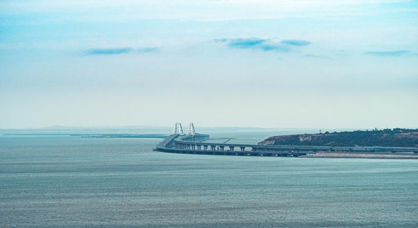 Tömeges delfinpusztulás történt a tankerbaleset miatt