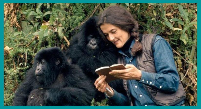 A gorillák a ködben anyjának rejtélyes halála – Dian Fossey