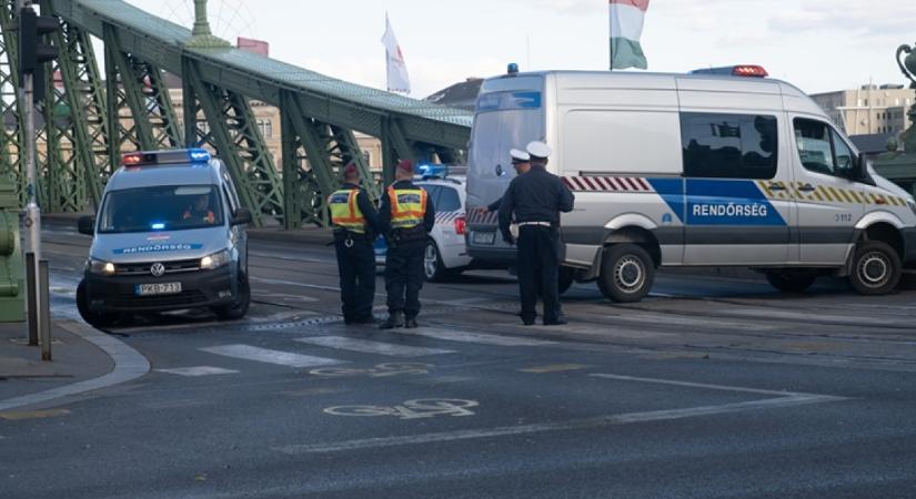 Tengerimalacot mentettek a BRFK rendőrei, fotók is készültek a sikeres akcióról