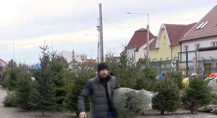 Van, aki utolsó pillanatra hagyta a fa vásárlást  videó