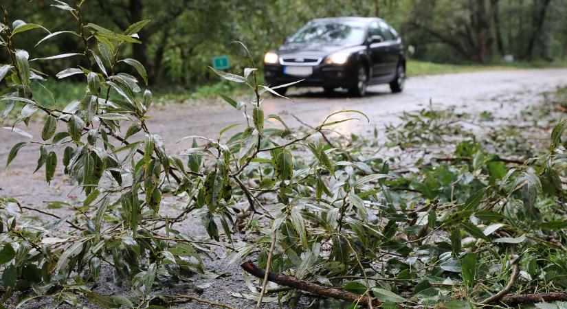 Viharos széllökések: másodfokú meteorológiai riasztást adtak ki Somogyra is