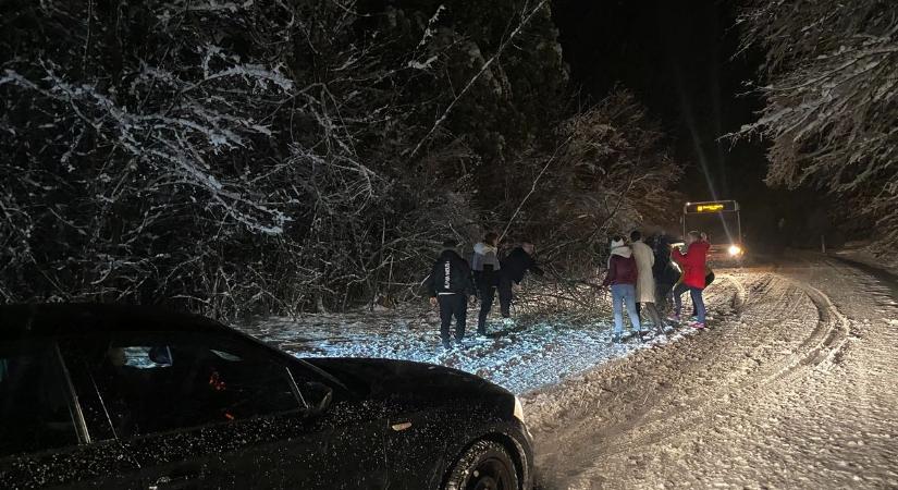 Káosz a Mecsekben: ez az eredménye, ha nem takarítják az utakat!