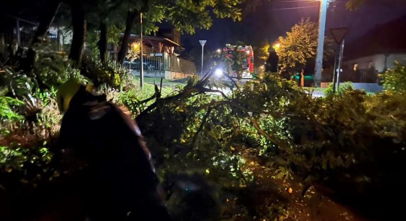 354-szer vonultak ki tűzoltók ezen a szentestén, több mint 200-szor kidőlt fákhoz riasztották őket