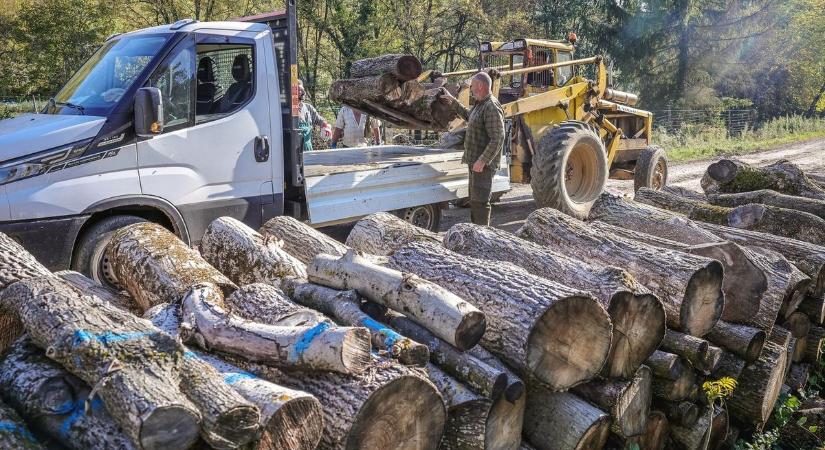 Itt van minden részlet arról, hogyan igényelhetnek tűzifát Hajdúszováton