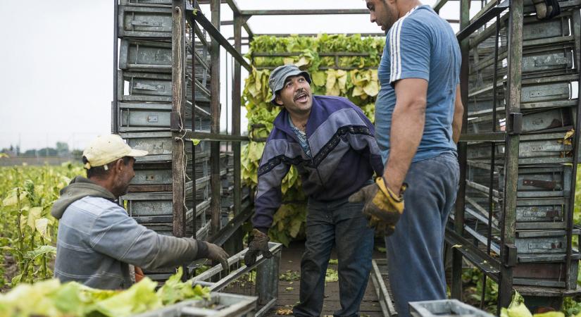 A nemzetgazdasági miniszter 35 ezerre csökkenti a vendégmunkás-kvóta maximumát