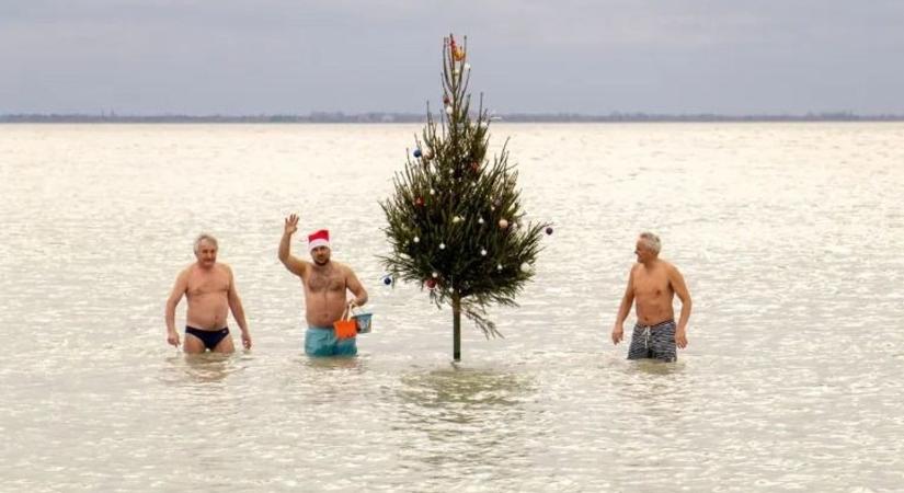 Vízbe került a Balaton karácsonyfája