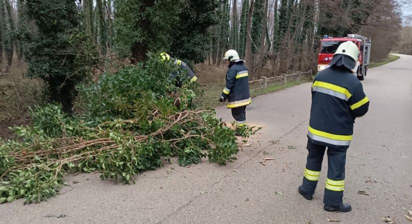 Fa dőlt az útra Mikosszéplak és Bérbaltavár között - fotók