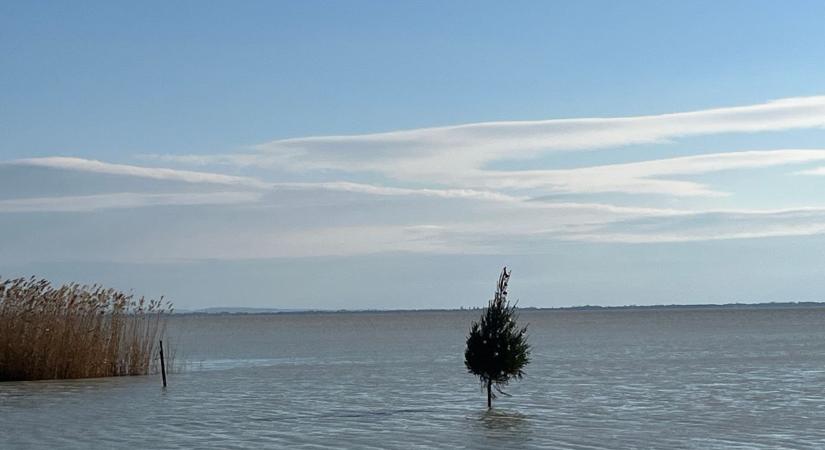 Karácsonyfa a Balatonban