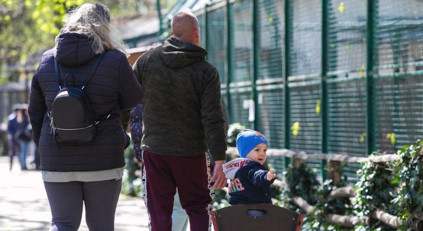 A Kecskeméti Vadaskertben Levente-emléknapot tartanak, mellyel Petyus gyógyulását segítenék