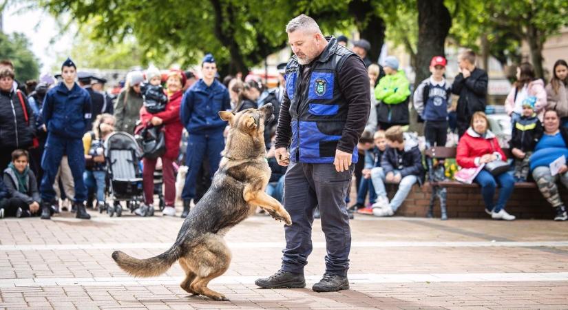 Hős kutyákat keres a rendőrség