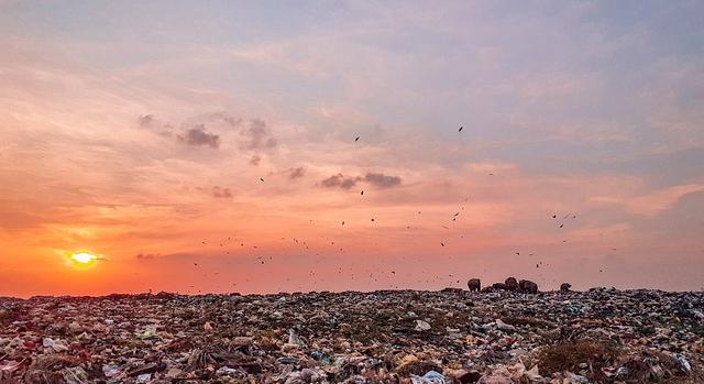 Új gyűjtőpontos lomtalanítási rendszer bevezetését tervezik