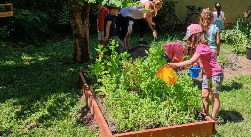 Elismerték a tatai óvoda természettudatos nevelését