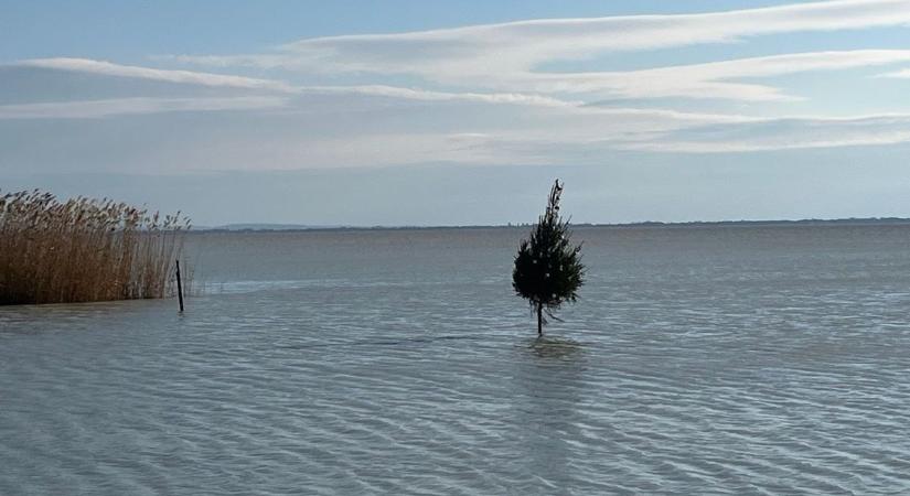 Karácsonyfát állítottak a Balatonba