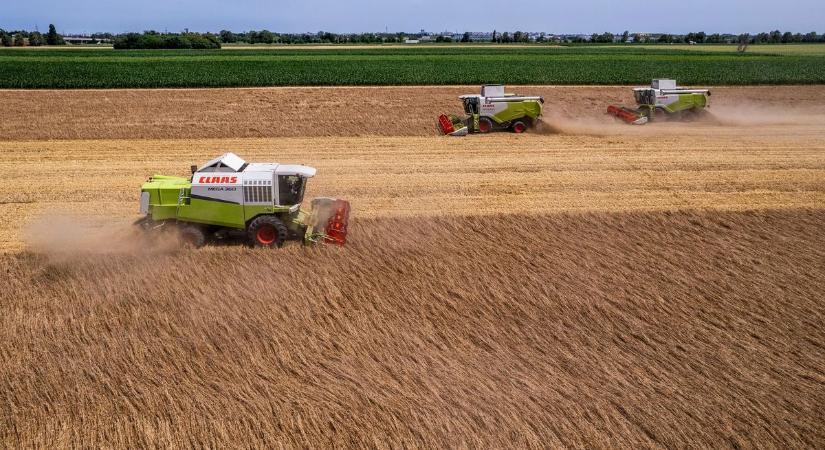 Eredményes évet zár a magyar agrárium