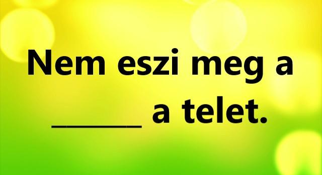 Napi közmondás feladat: Ki tudod egészíteni?