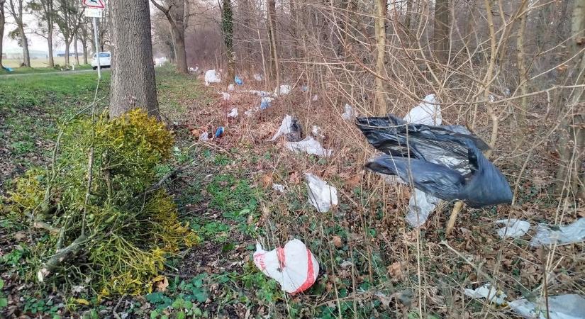 A szél megmutatja, mennyit szemetelünk feleslegesen – videó