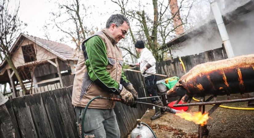 Disznótor: a csabai kolbászkirály elárulta, milyen az igazi