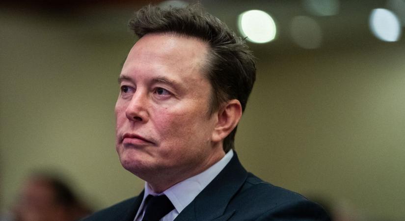 Vezető német lapban méltatta Elon Musk az AFD-t, felmondás lett a vége