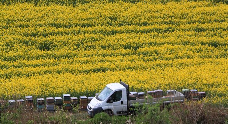 Megduplázódik a hároméves agrár de minimis-keret