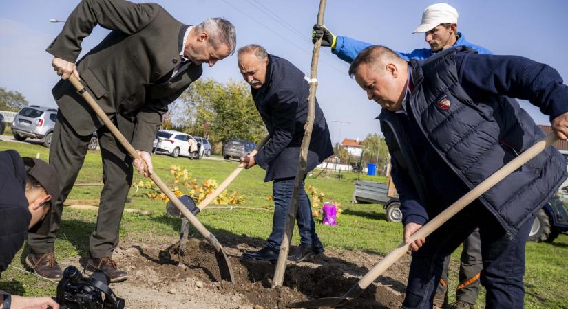 Az erdészeti programok jelentős mértékben hozzájárulnak a klímavédelmi célok megvalósításához