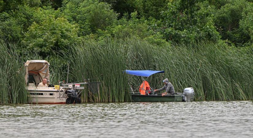 Hasznos hírek a Tisza-tavi horgászoknak