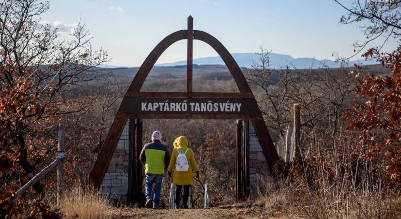 Eredményes évet zárnak hazánk nemzeti parkjai