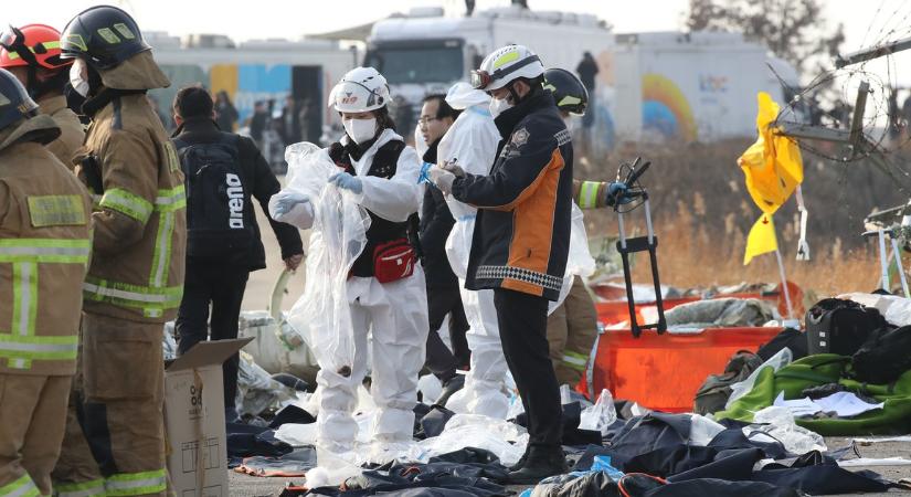 Megszólaltak a dél-koreai repülőgép-katasztrófa túlélői