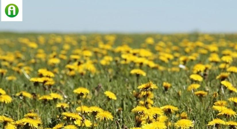 Irtjuk, ahogy csak tudjuk, pedig segít az egészségünk megőrzésében