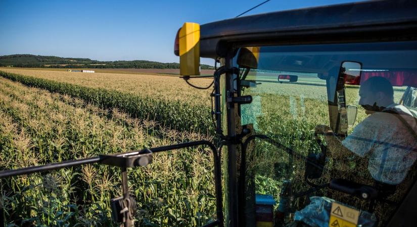 Jó hír a vidéknek: egyre több fiatal választja az agrárszakmát