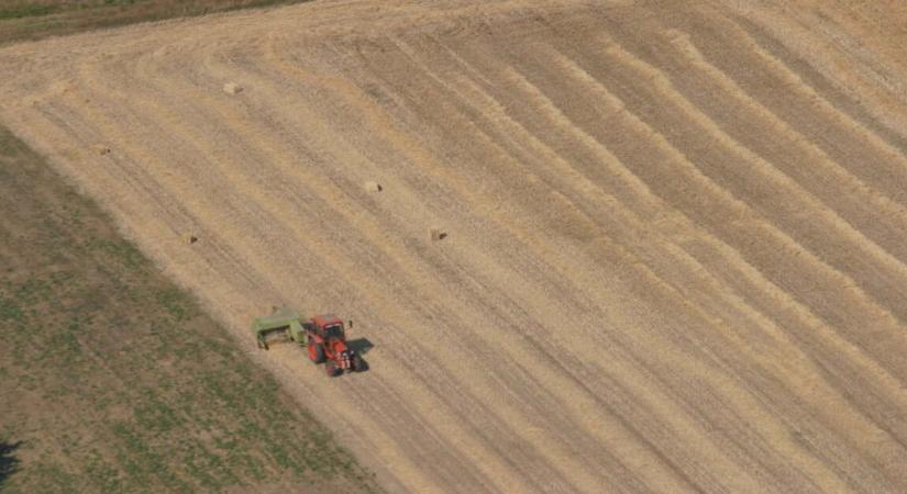 A minisztérium úgy számol, egyre több fiatal választja az agrárszakmát