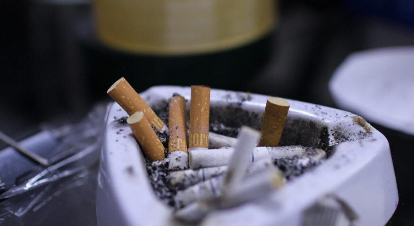 Egyetlen szál cigaretta húsz perccel lerövidítheti a várható élettartamot