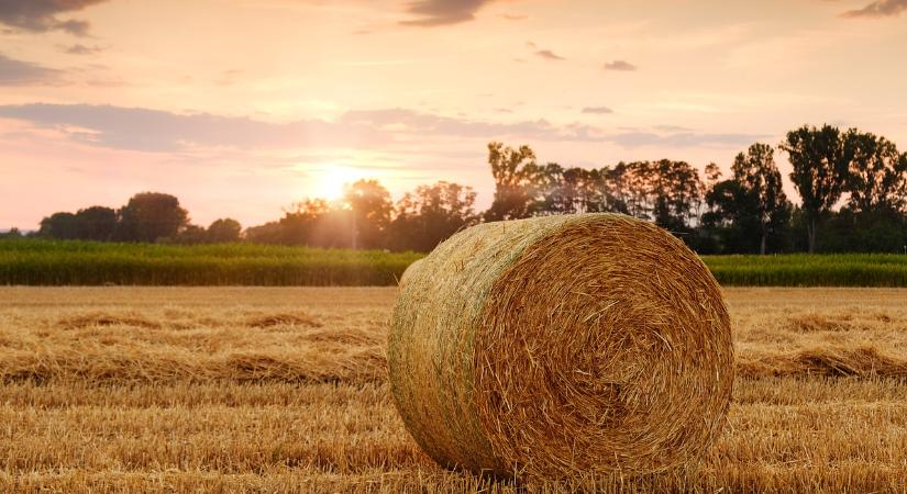 Egyre több fiatal lép az agrárpályára, ami a vidék számára is nagy erőt jelent