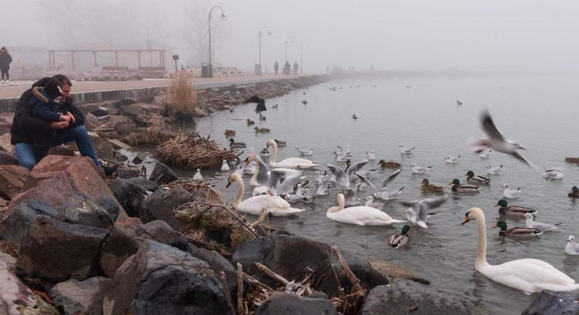 Téli csodavilággá változott a Balaton Siófoknál