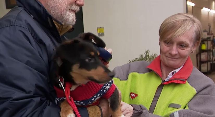 Benzinkutakon működő chipleolvasók segíthetnek hazajutni az eltévedt négylábúaknak  videó