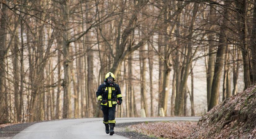 Kötél: Csatárláncban és drónnal is keresték az eltűnteket