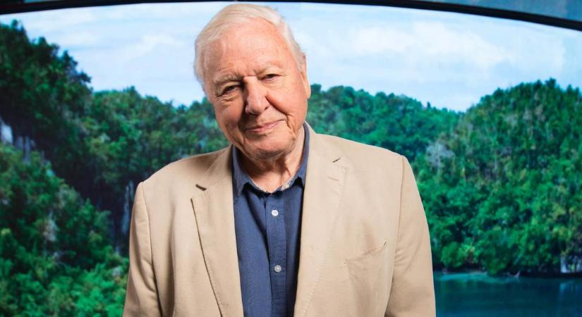 Sir David Attenborough befejezi a külföldi forgatásokat, mert soha többé nem akar repülőre ülni