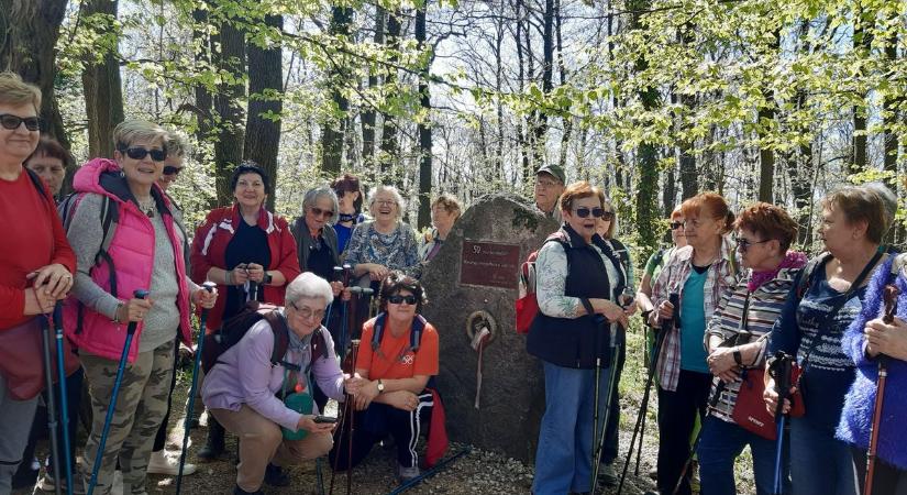 Eredményes évet zárt a 35. évét ünneplő pécsi Nyugdíjas Egyesület