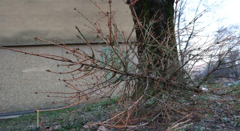 Megüthetjük a bokánkat: több százezres bírságot kaphatnak a baranyaiak! – VIDEÓ