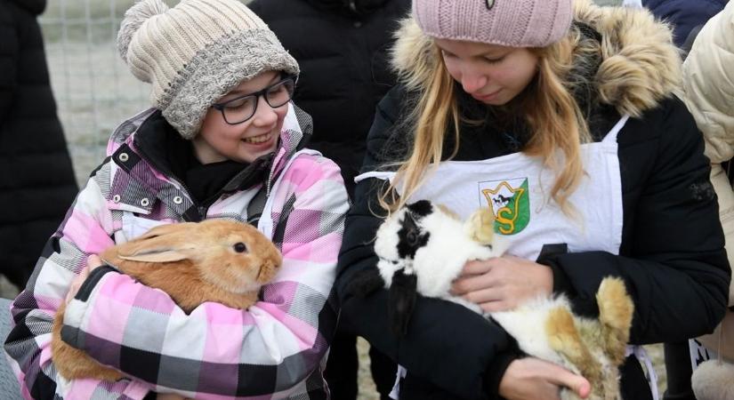 A Somogyi Hírlap terelte célba a győztes nyulat a somogysárdi nyúlfuttatáson