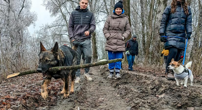 Szilveszteri Falka Séta a tiszai hullámtérben – fotóriport