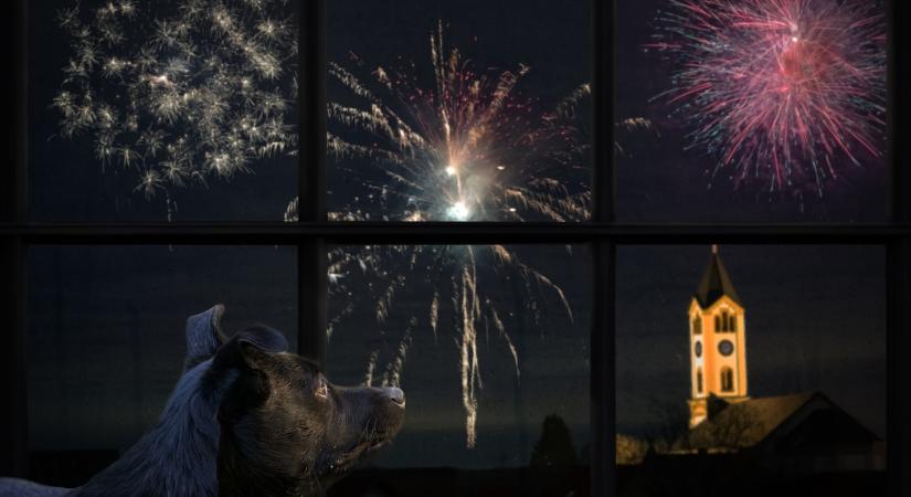 Szilveszteri PetárdaSTOP – előzzük meg a tűzijáték baleseteket!