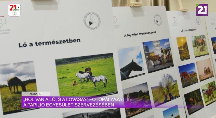 Aktuális (2025.01.02) „Hol van a ló, s a lovasa?” Fotópályázat a PAPILIO egyesület szervezésében (videó)