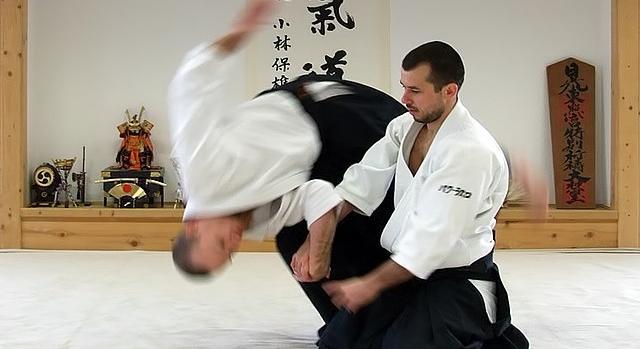 Aikido ünnep lesz szombaton Makón