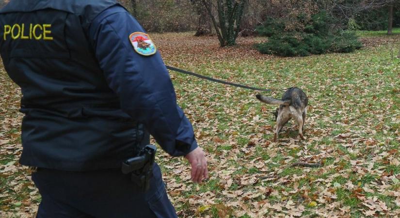 Szagot fogott Dinka, a vármegyei rendőrkutya