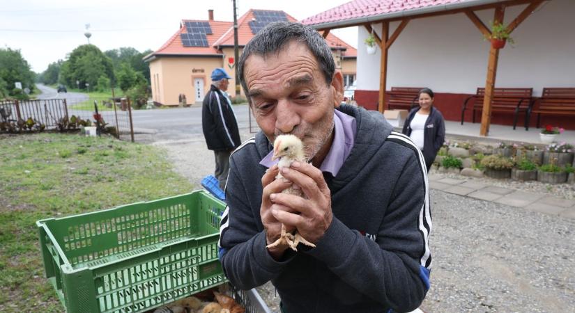 Öröm, „bódottá": a somogyiak a második legboldogabbak az országban