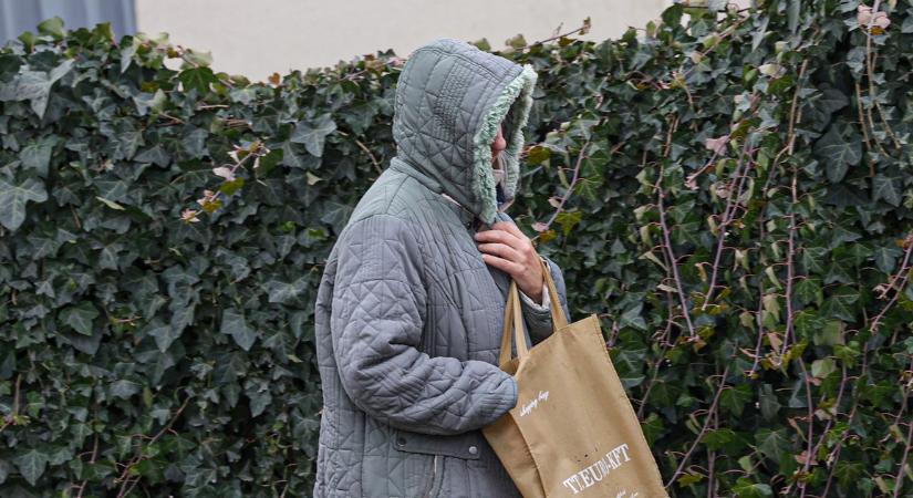 Ő a csepeli anyagyilkos óvónő: szabadon sétálgat a boltba - fotók