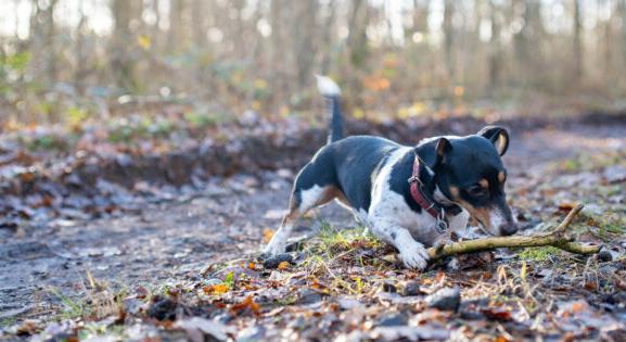 Nemcsak a nappali, az éjszakai fagyok is megszűnnek