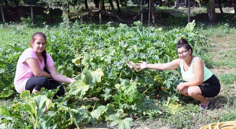 Idén is folytatódhat a közfoglalkoztatási program Jászárokszálláson